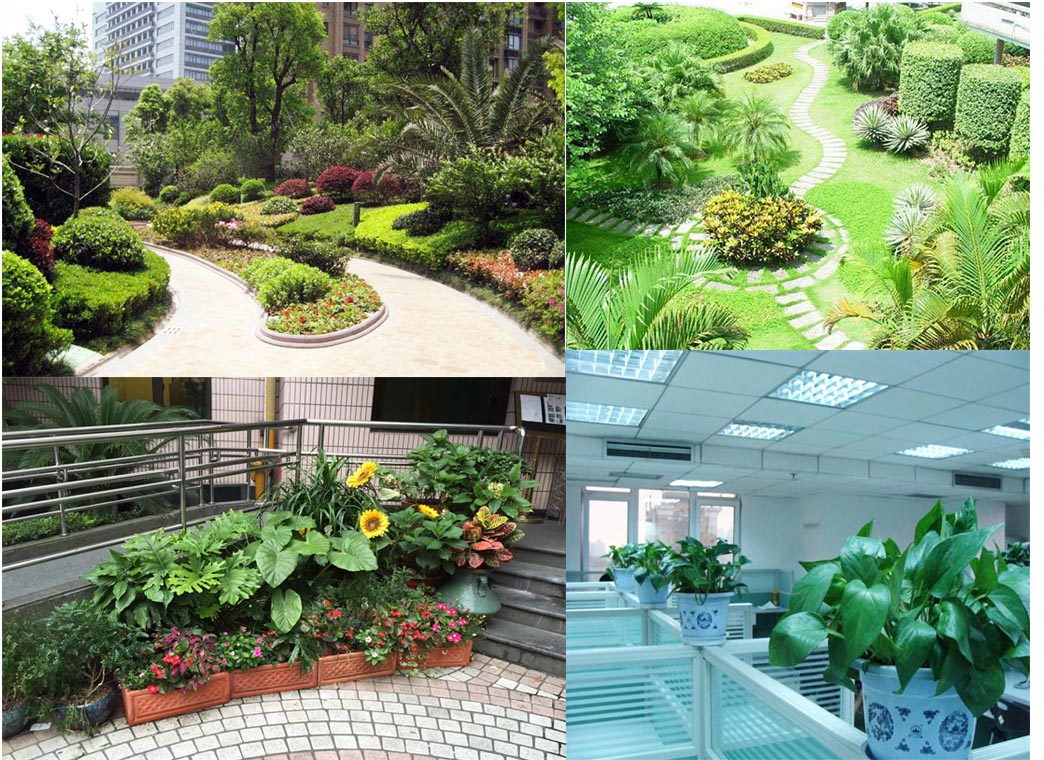 大唐集團園區(qū)植物墻項目-上海雅騰綠化有限公司